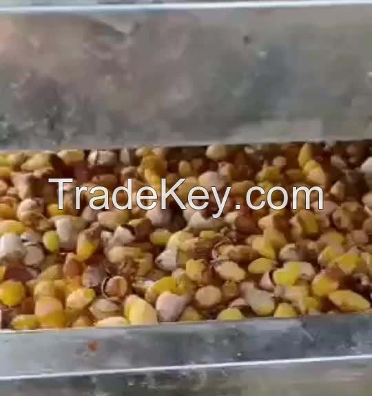 Cashew Nut Sell Vietnam Bag Crop Style Good Packaging cashews cheapest tanzania raw roasted organic cashew nuts kernels W150