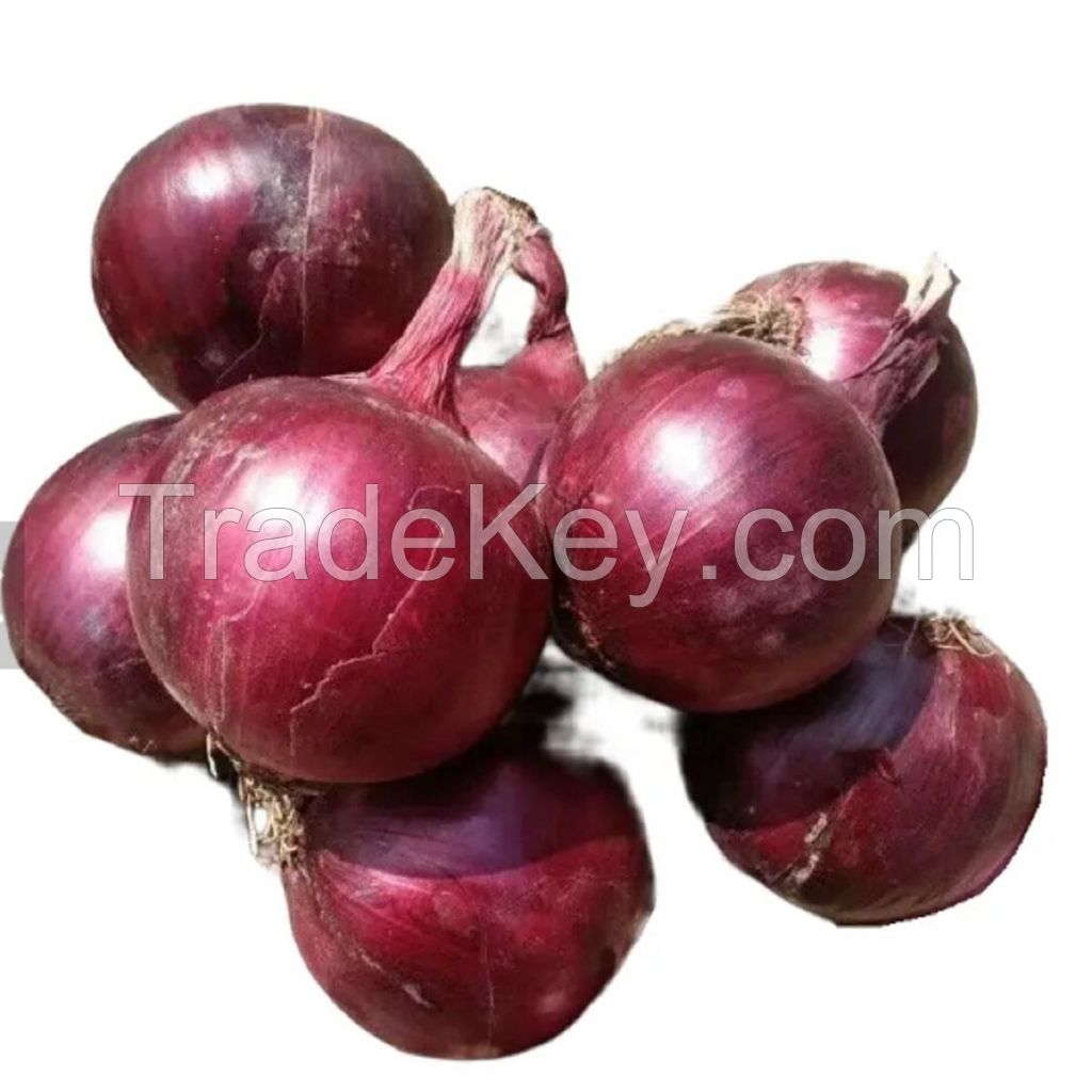 Premium Fresh Red, Yellow, White, and Brown Onions for Export - High-Quality and Competitive Prices!