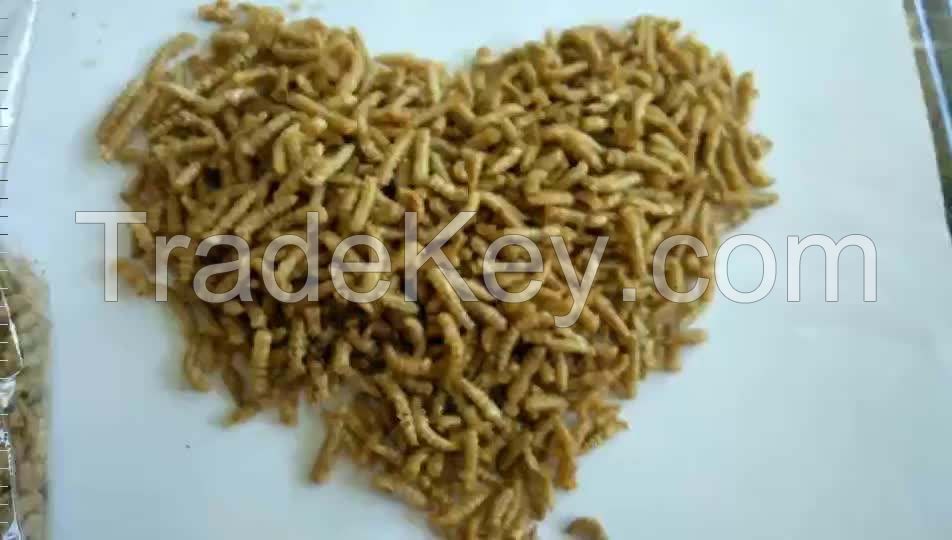 Wholesale custom private label Yellow dried silkworm animal protein feed grade 25kg 25tons 15days feed dried silkworm pupae