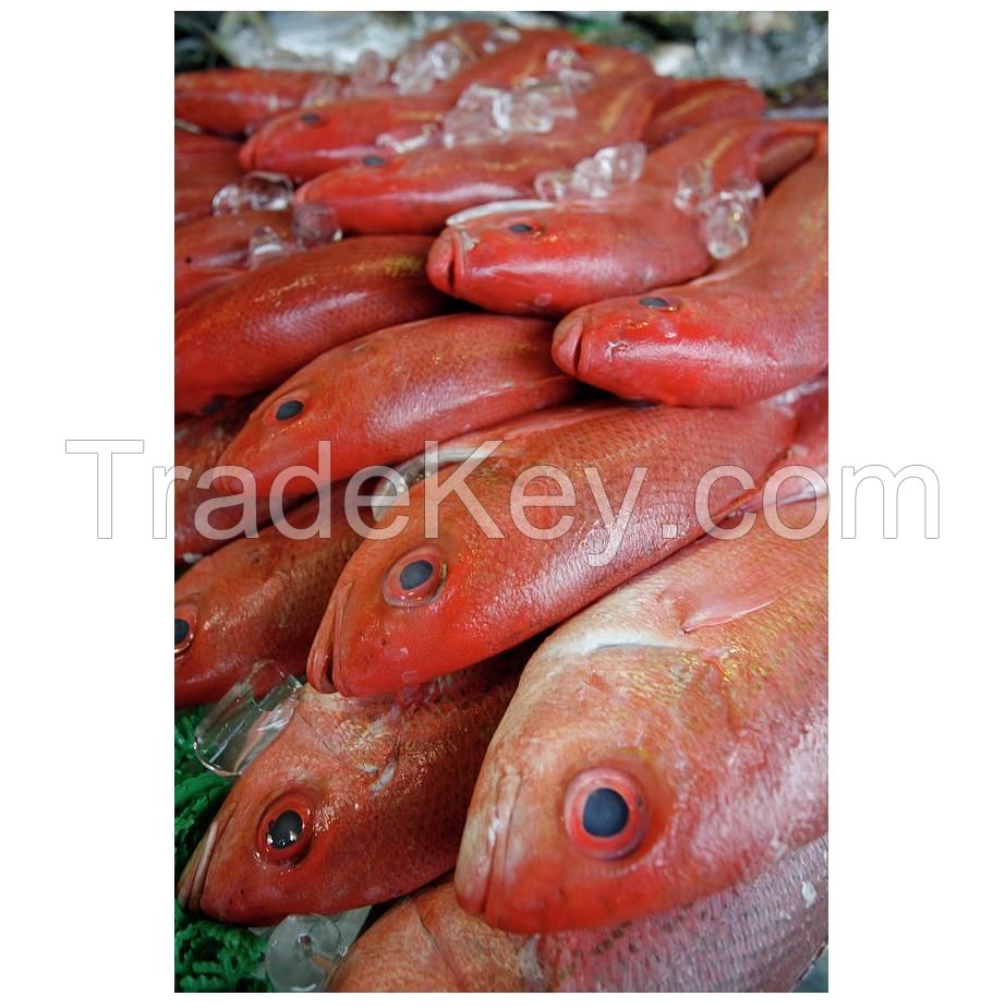 Best Selling Wholesale Fresh Frozen Red Snapper Emperor Fish