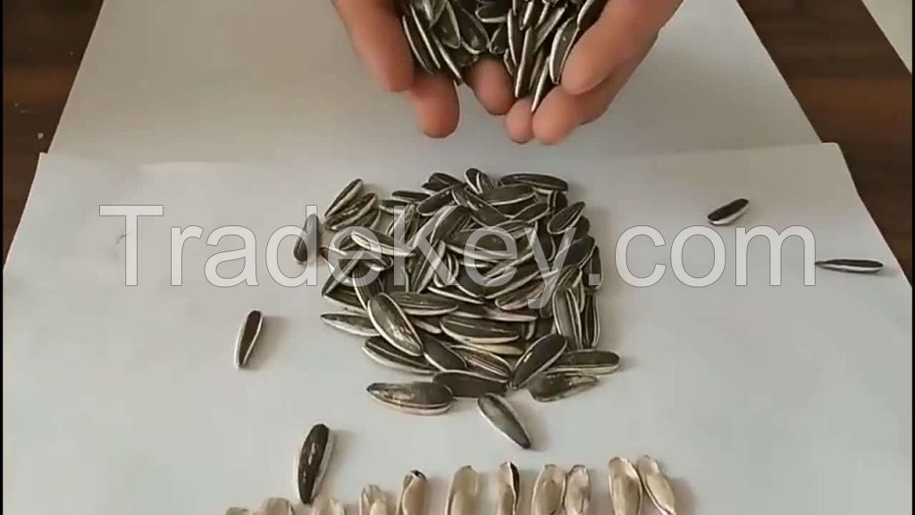 organic sunflower seeds in shell  high quality sunflower seed kernel market price sunflower seeds