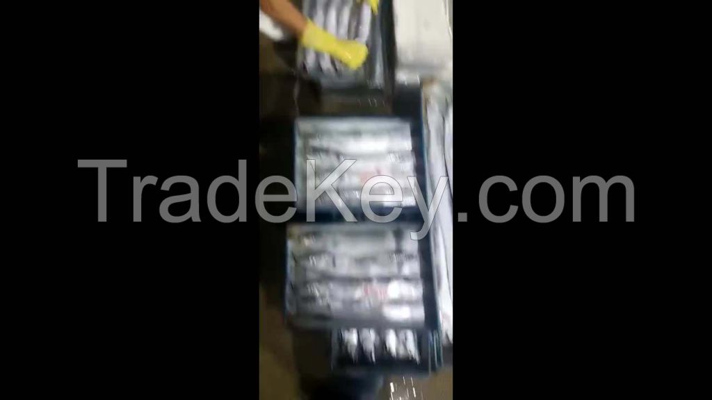 whole round frozen bonito fish with prices  box style packing packaging food no salt frozen bonito fish for sale