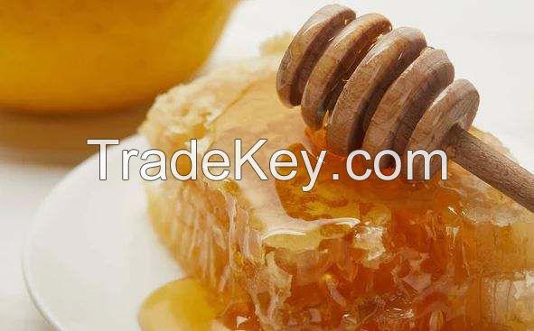 Top Quality Natural Honey Organic  Honey Manuka Honey