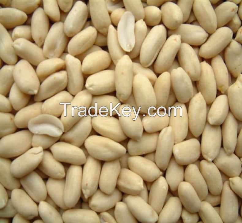 raw peanuts kernel top quality 100% natural raw  white skin skinless peanut for sale raw hazelnut kernels raw peanut groundnuts