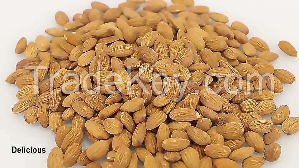 cheap delicious almond seeds nuts organic bitter almonds raw for food raw organic product almond