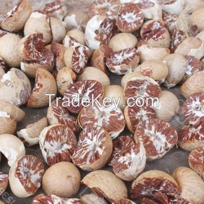 roasted &amp; blanched hazelnuts kernels used in chocolate industry and manufacturing sliced hazelnut  blanched Hazelnuts for sale