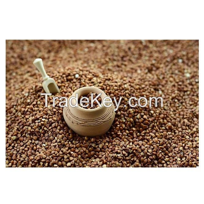 Best Quality Hot Sale Price Natural Organic Buckwheat/Roasted Buckwheat Kernels