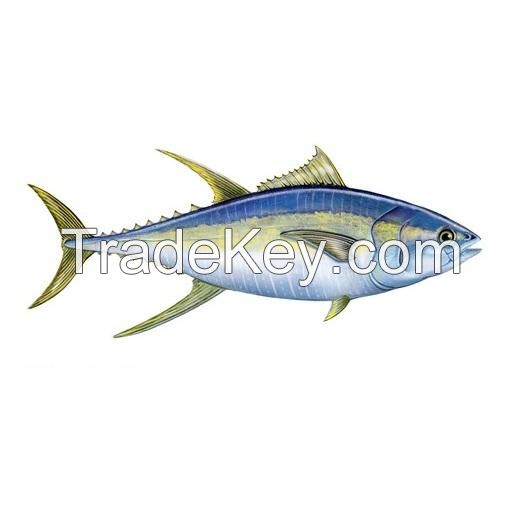 Hot sale Fish Frozen yellowfin tuna, Frozen yellowfin Tuna whole Round