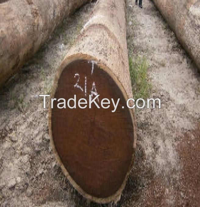 Supply Ability 1000000 Cubic Meter Log Lumber Pine Wooden Per Month Hardwood Timber Wood Beech Oak Wood Log Timber