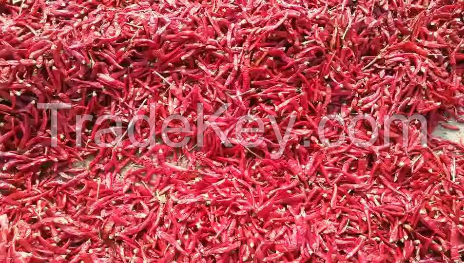 dried red and green bell pepper hot pepper chilli with in developing for food grade dried red pepper flakes