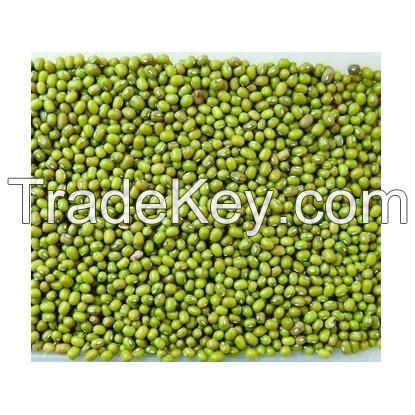 Best Price Green Mung Beans / Whole Moong Beans Bulk Stock Available With Customized Packing