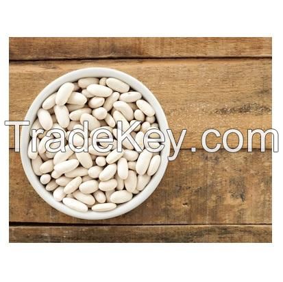 Non-GMO High Grade Natural Bulk Dried Red Bean