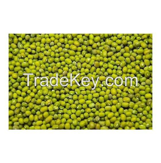 Best Price Green Mung Beans / Whole Moong Beans Bulk Stock Available With Customized Packing