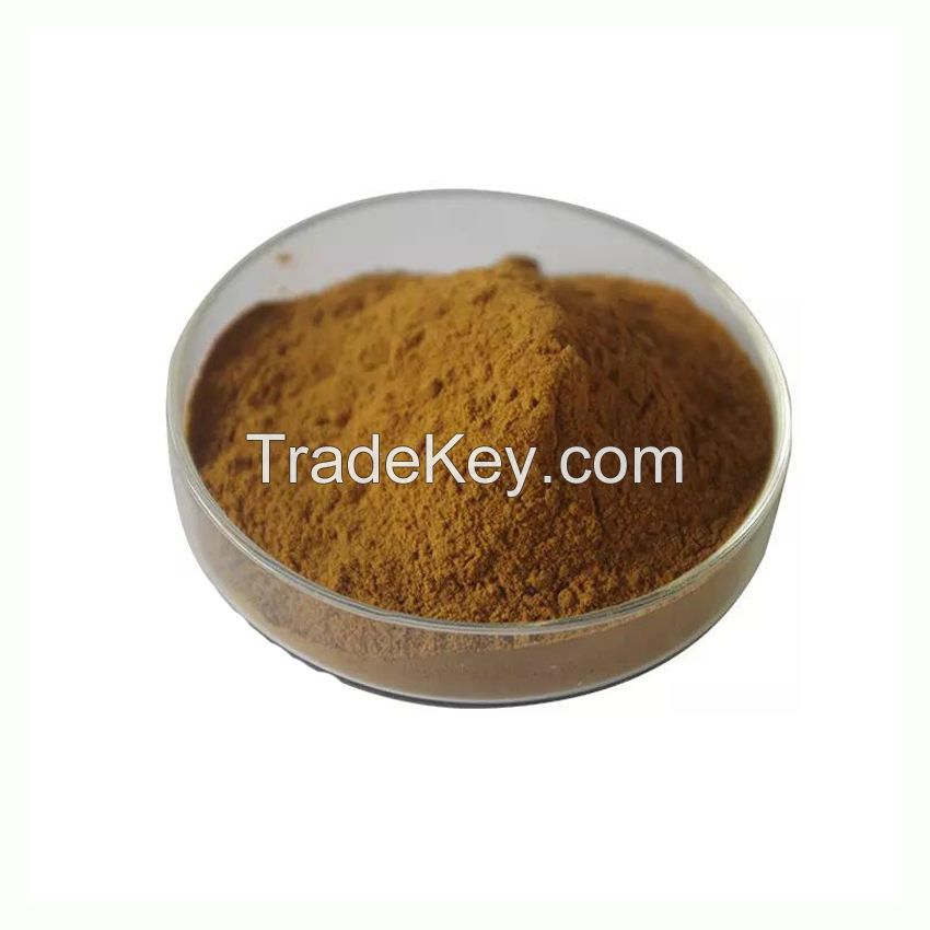 High Quality Nigella Sativa Extract Pure Natural Thymoquinone Nigella Sativa Seed Extract