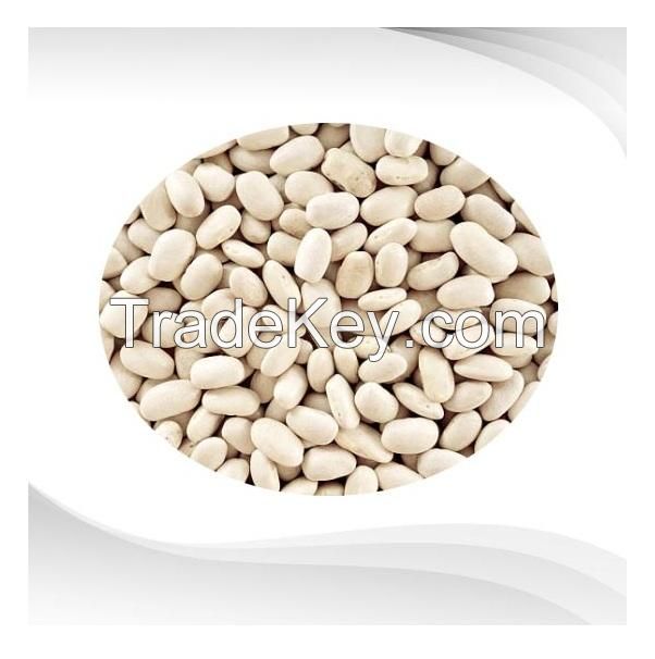 Non-GMO High Grade Natural Bulk Dried Red Bean