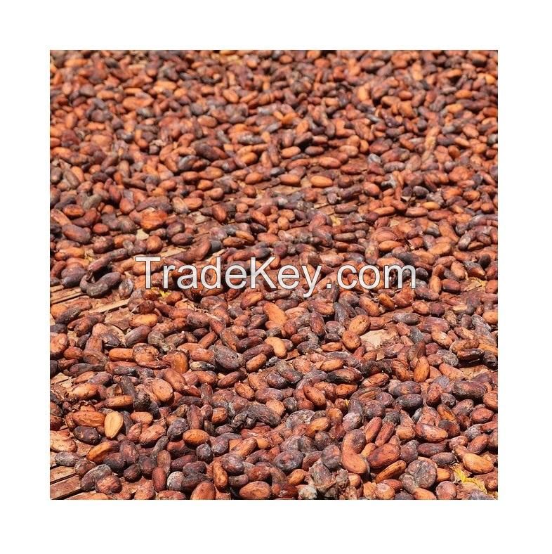 Good Quality Dried Top Grade Cocoa Beans cocoa powder cocoa butter/ Cacao/ Chocolate Bean