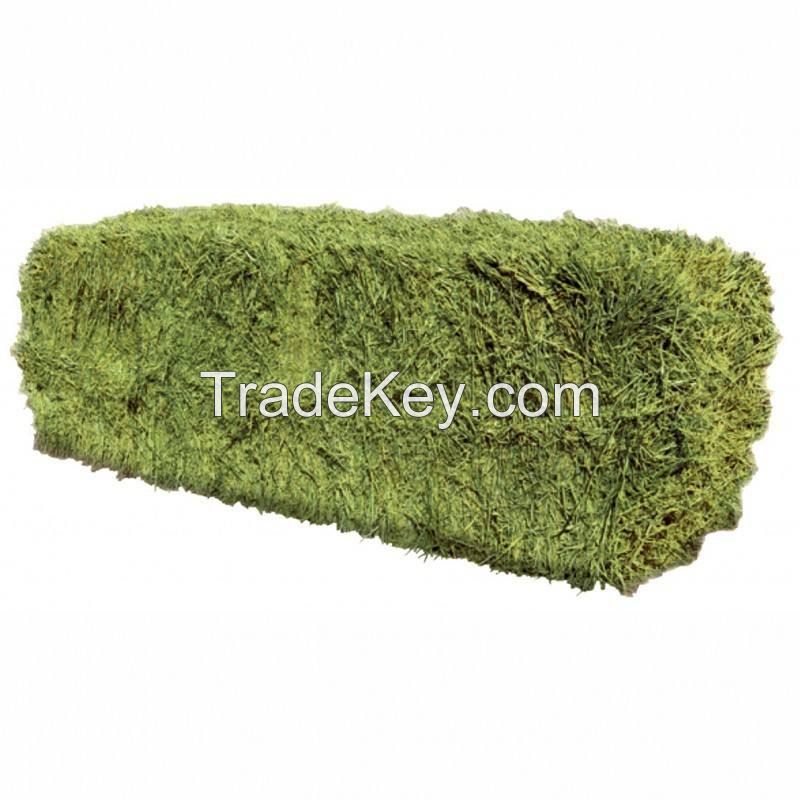 Premium Alfalfa Hay - Bundles Of Hay For Sale Bulk Premium Organic Wholesale Alfalfa Timothy Hay