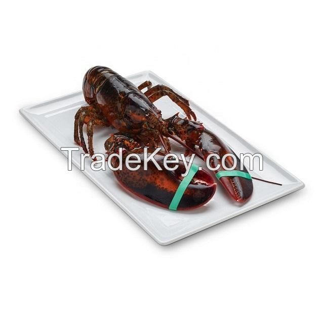 Frozen Fresh Live Green Lobster - Alive Bamboo Lobster