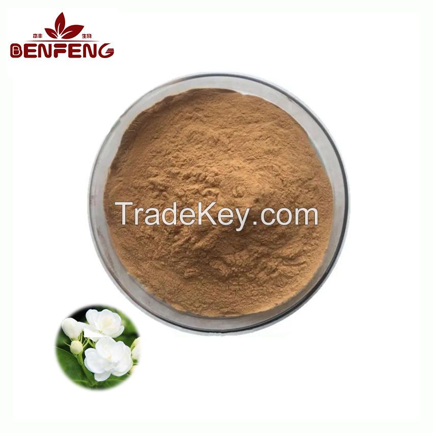 Supply High Quality Jasmine Flower Extract 10:1 Jasmine Tea Extract Powder