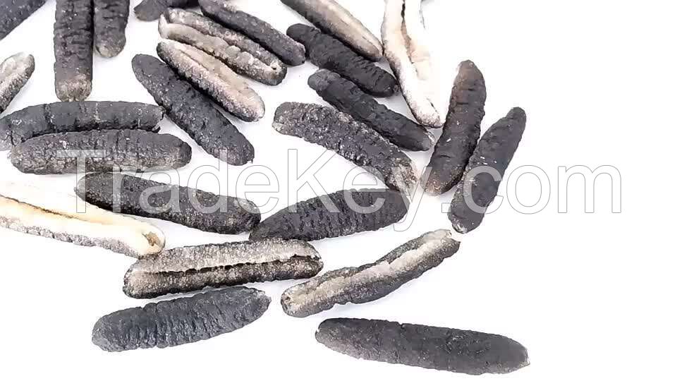 dried sea cucumber, price of dried sea cucumber, sea cucumber for sale best price high quality frozen sea food wild sea cucumber