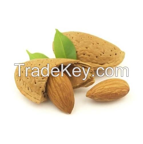 Jumbo California Almonds In Shell Premium Quality Kosher Raw Almonds