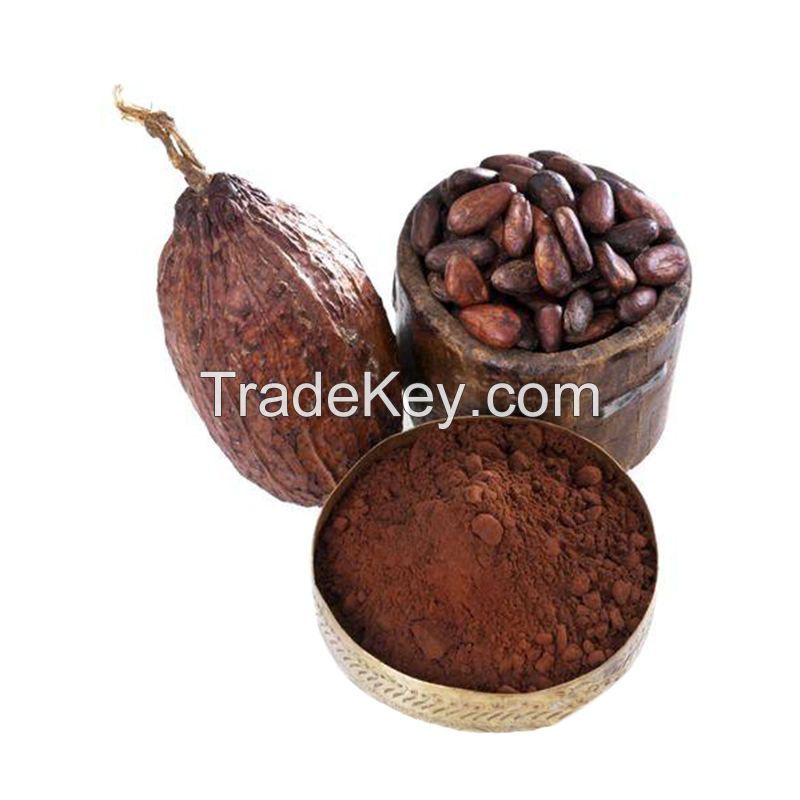 Organic Cocoa Beans - Premium Quality Wholesale Dried Cocoa Beans