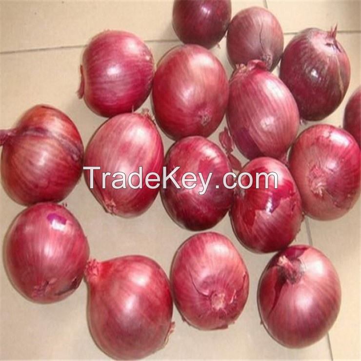 fresh red yellow onion style weight origin type red yellow 15kg bags 25tons shape product for food consumption fresh red onions