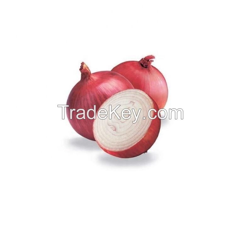 fresh red yellow onion style weight origin type red yellow 15kg bags 25tons shape product for food consumption fresh red onions