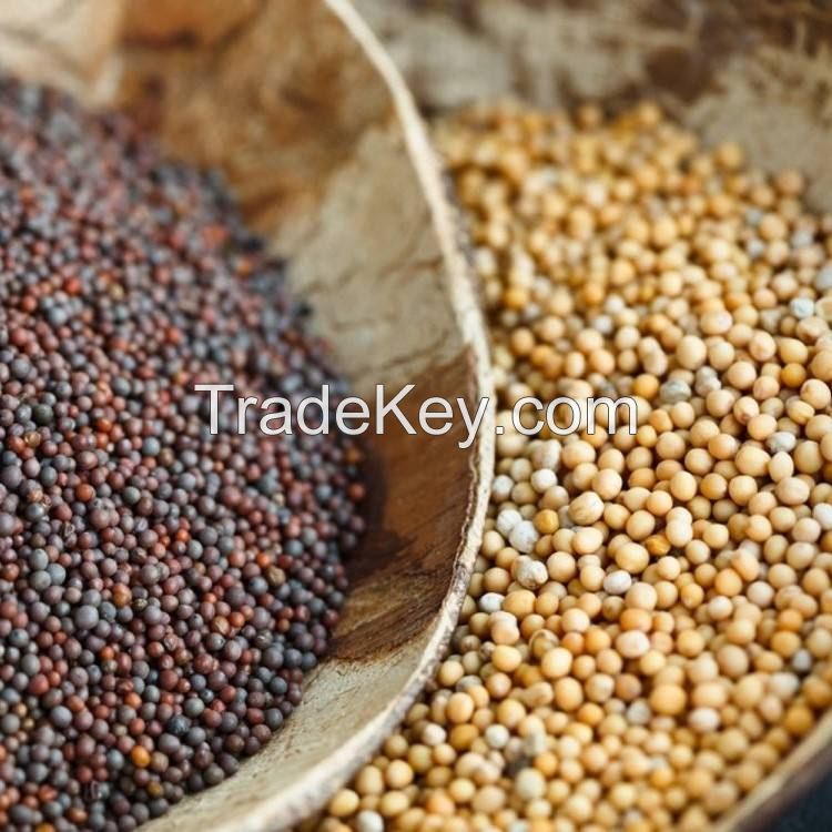 natural mustard seed  best quantity bulk order black yellow mustard seeds for sale mustard seeds yellow