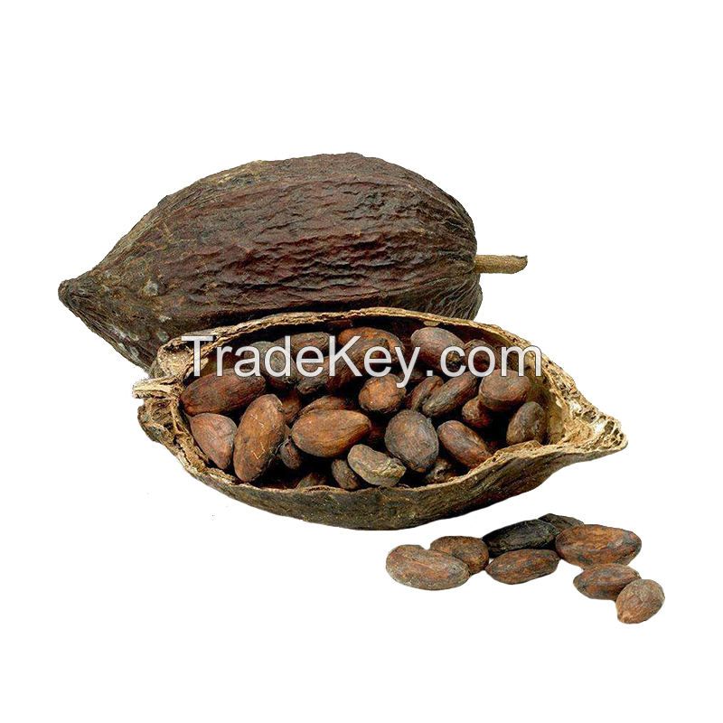 Organic Cocoa Beans - Premium Quality Wholesale Dried Cocoa Beans