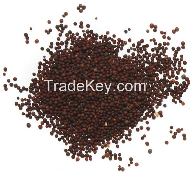 natural mustard seed  best quantity bulk order black yellow mustard seeds for sale mustard seeds yellow