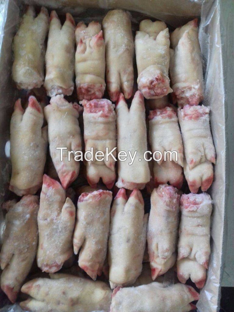 Frozen Pork Feet / Pork Front Feet A- Grade, Packaging Type: Box