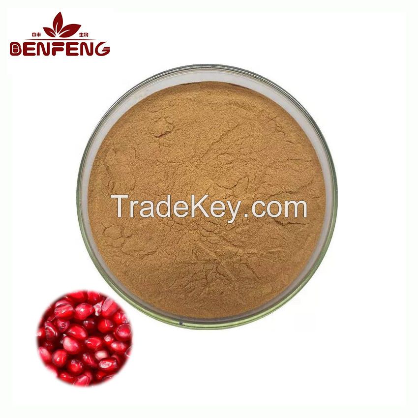 High Quality Pomegranate Extract Powder Pomegranate Peel Extract 40% Ellagic Acid