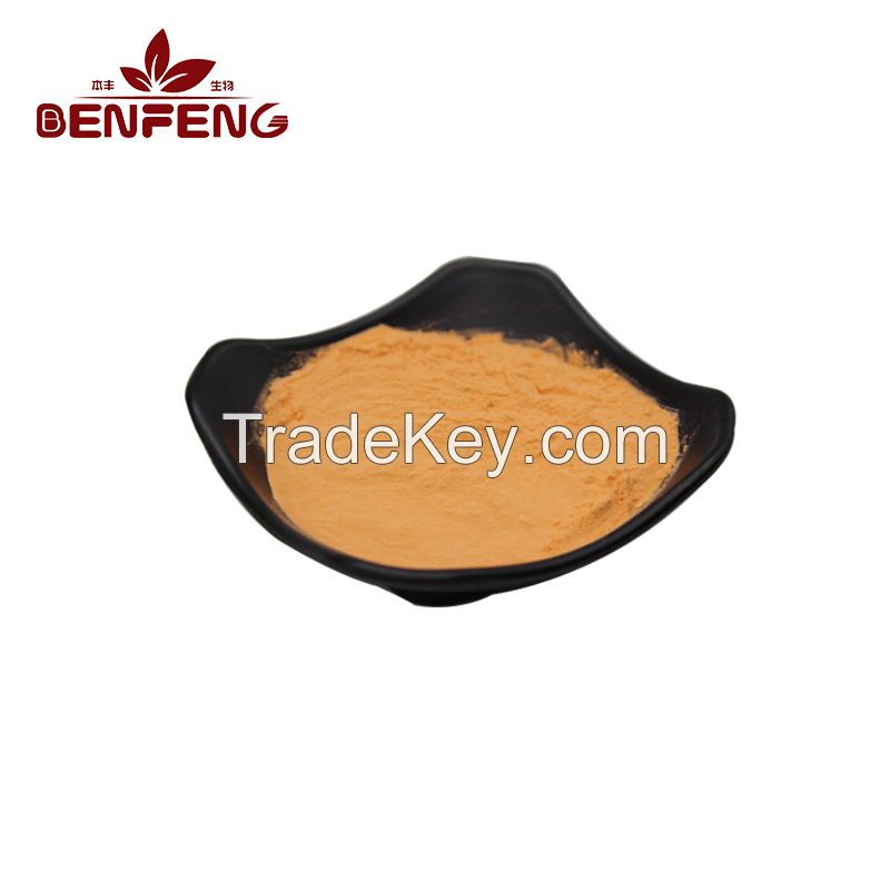 Organic Goji Berry Extract from the Hometown of Chinese Goji Berry Goji Berry Fruit Powder