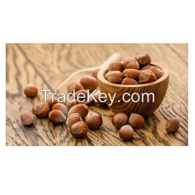 Natural Taste Quality Blanched Hazelnut/Hazel Nut at Low Price