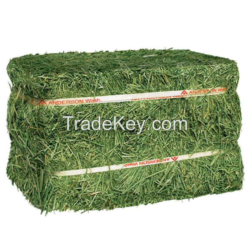 Premium Alfalfa Hay - Bundles Of Hay For Sale Bulk Premium Organic Wholesale Alfalfa Timothy Hay