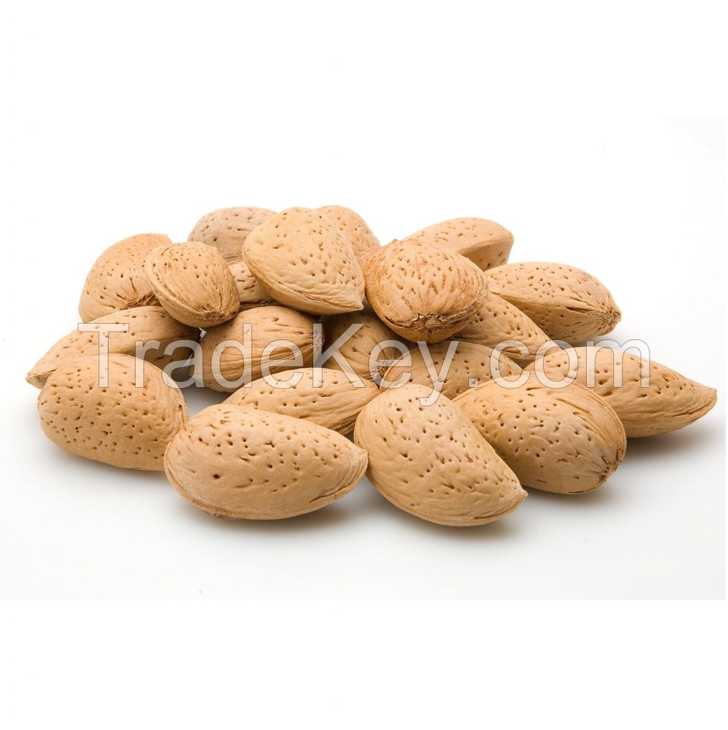 Jumbo California Almonds In Shell Premium Quality Kosher Raw Almonds