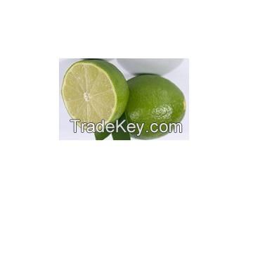 Citrus Fruit fresh green lime seedless and persian limes mandarin oranges yellow original sweet style packing