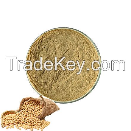 High Quality Soybean Isoflavones 5%~90% Food Grade Soy Isoflavones Extract Powder