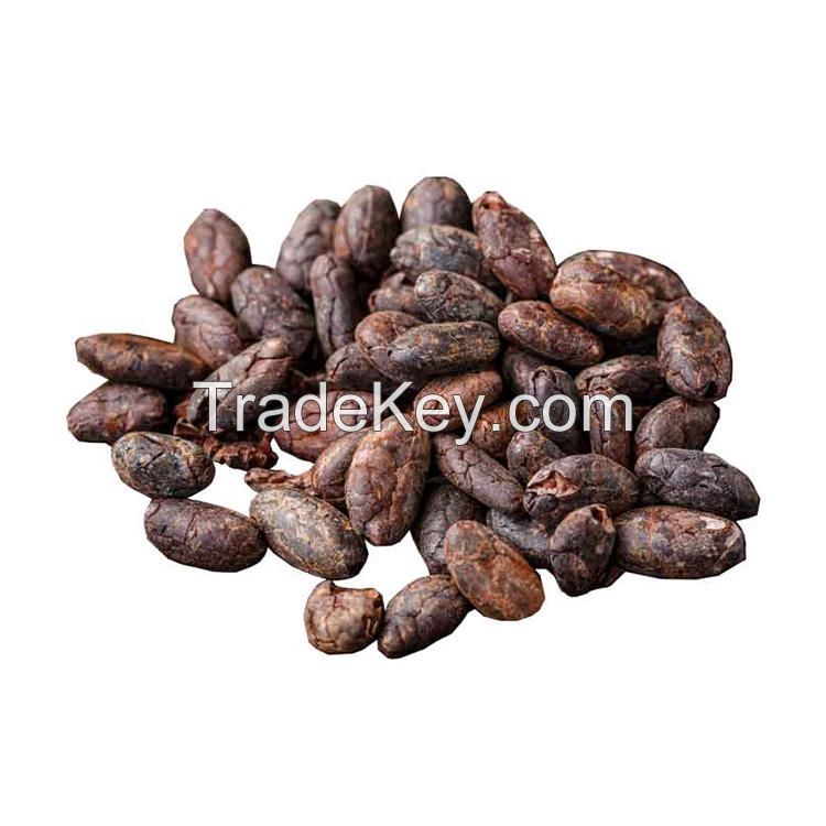 Organic Cocoa Beans - Premium Quality Wholesale Dried Cocoa Beans