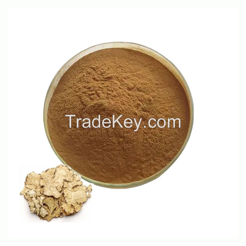 High Quality Rhizoma Chuanxiong Root Extract 10:1 Ligusticum Wallichii Extract