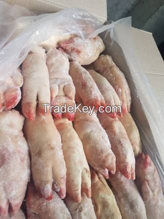 Frozen Pork Feet / Pork Front Feet A- Grade, Packaging Type: Box