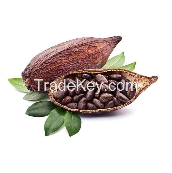 Good Quality Dried Top Grade Cocoa Beans cocoa powder cocoa butter/ Cacao/ Chocolate Bean