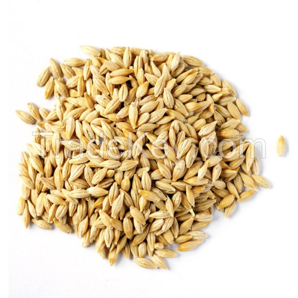 Wholesale custom private single malt Animal Feed Barley malted  50kg 25 tons 15days barley animal dried grains feed barley malt