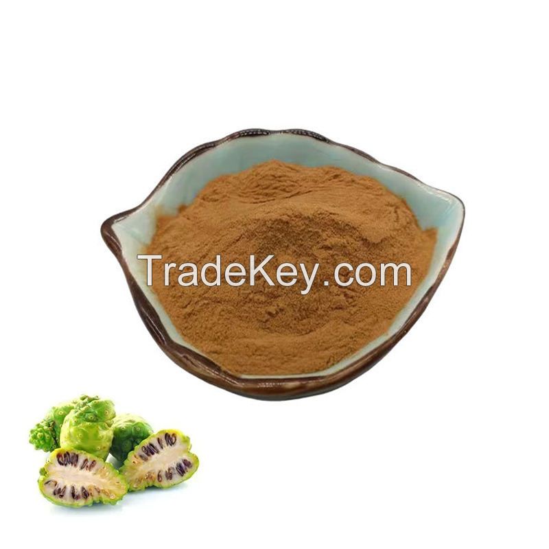 hot selling Best Quality noni extract powder Noni Fruit Extract Powder