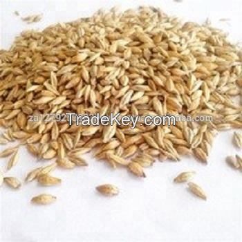 Wholesale custom private single malt Animal Feed Barley malted  50kg 25 tons 15days barley animal dried grains feed barley malt