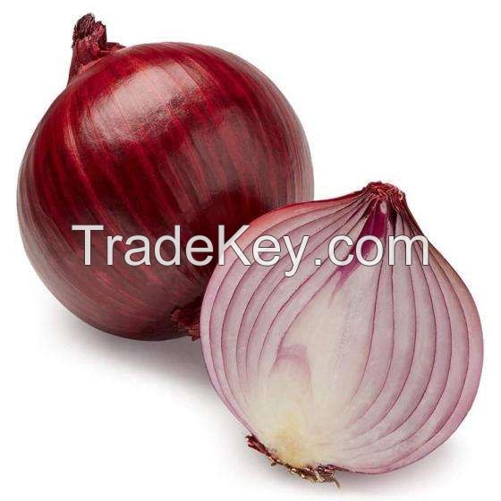 Fresh Red Onion Importers Fresh Vegetables onion wholesale red onion with good price