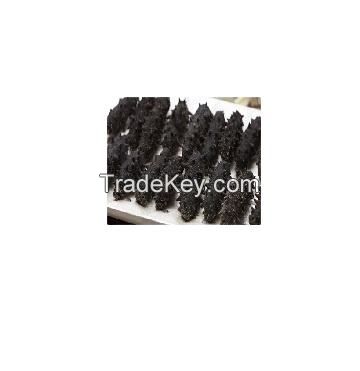 dried sea cucumber, price of dried sea cucumber, sea cucumber for sale best price high quality frozen sea food wild sea cucumber
