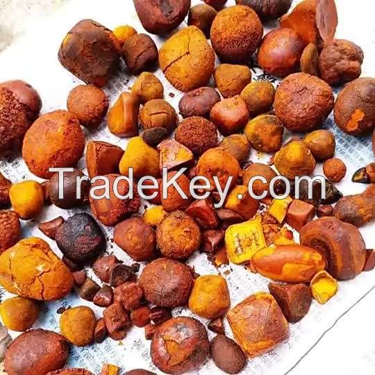 Cow Ox Gallstones for sale  bulk quantity exporter of good quality cow gall stones ox gallstones for Sale