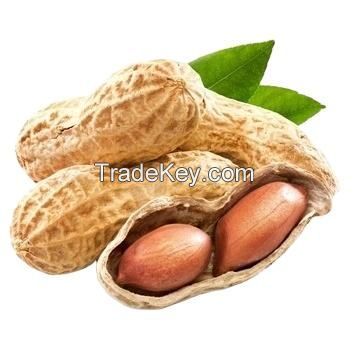 raw blanched kernel peanut, red kernel peanut price buyers manufacturers customized packing 100 kg peanuts kernel specification